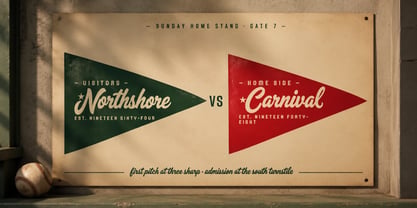 Roast Carnival Font Poster 5