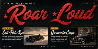 Roast Carnival Font Poster 7