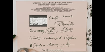 Hosperity Font Poster 6