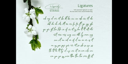 Hosperity Font Poster 3