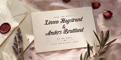 Topbirdy Script Font Poster 3