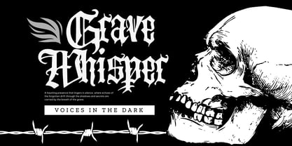 Blackflag Armada Font Poster 3