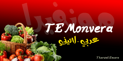TE Monvera 2 Font Poster 13