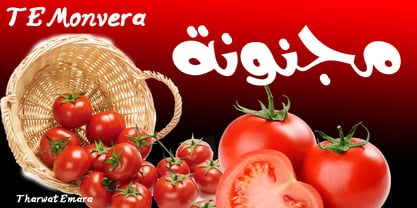 TE Monvera 2 Font Poster 3