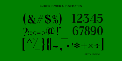 Caldris Font Poster 4