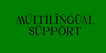 Caldris Font Poster 6