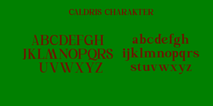 Caldris Font Poster 5