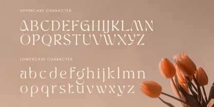 Virga Font Poster 11