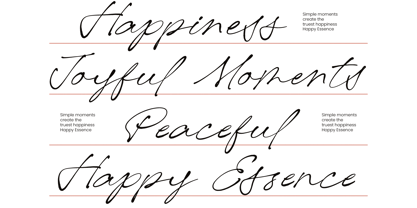 De Rough Belmonty Font Poster 4