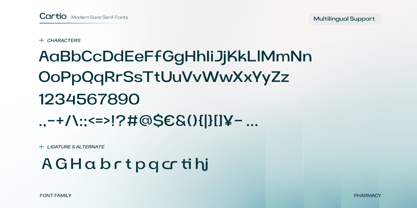 Cartio Font Poster 10