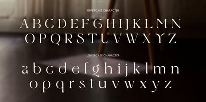 Conya Font Poster 11