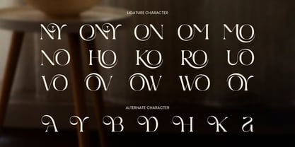 Conya Font Poster 9