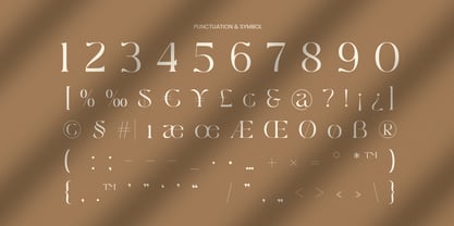 Conya Font Poster 10