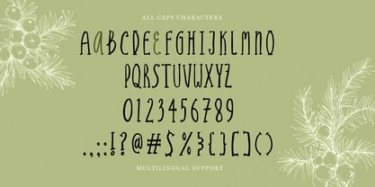 Garden Stories Font Poster 7