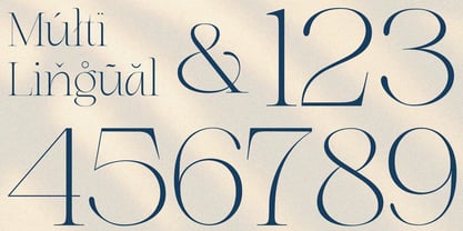 Dary Font Poster 9