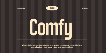Bagine Font Poster 7