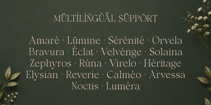Shavile Font Poster 9