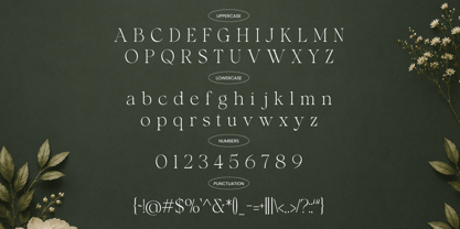 Shavile Font Poster 10