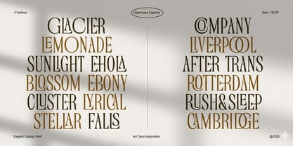 Ferdinos Font Poster 6