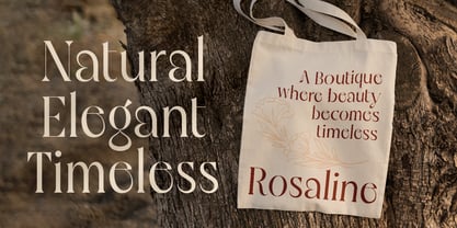 Geliga Font Poster 7