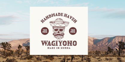 Nolton Vintage Font Poster 4