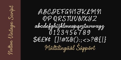 Nolton Vintage Font Poster 11