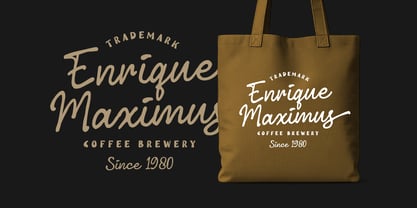 Nolton Vintage Font Poster 9