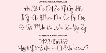 Pinky girl Font Poster 5