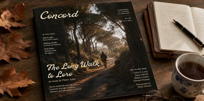 Old Ledger Font Poster 4