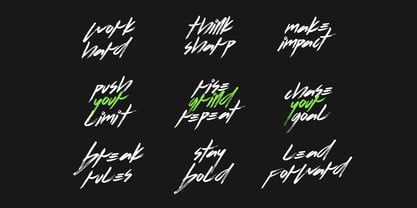Flows Brush Font Poster 6