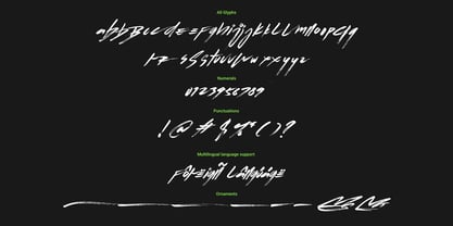 Flows Brush Font Poster 14