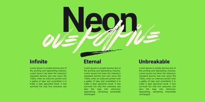 Flows Brush Font Poster 5