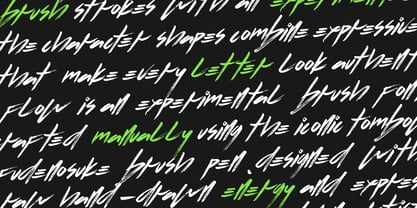 Flows Brush Font Poster 8