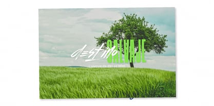 Flows Brush Font Poster 13