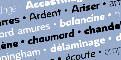 Rhumb Variable Font Poster 7