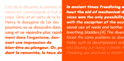 Rhumb Variable Font Poster 4