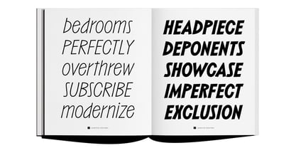 Barkins Variable Font Poster 14