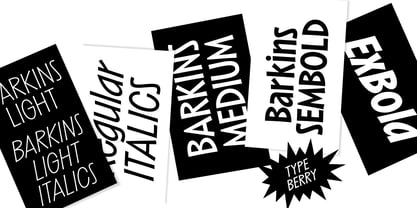 Barkins Variable Font Poster 6