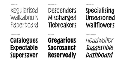 Barkins Variable Font Poster 2