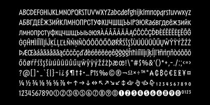 Barkins Variable Font Poster 15