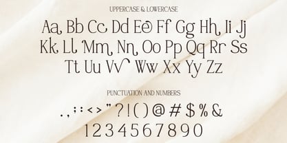 Welice Font Poster 2