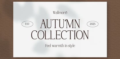 Welice Font Poster 4