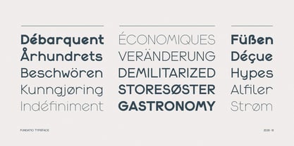 Fundatio Font Poster 6