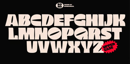 Rahagi Font Poster 5