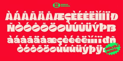 Rahagi Font Poster 8