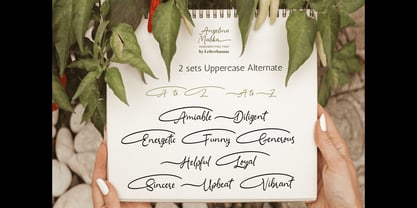 Angelina Malika Font Poster 11