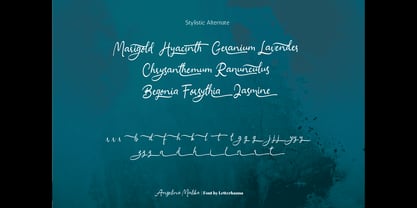 Angelina Malika Font Poster 5