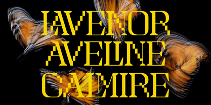 Myten Years Font Poster 3