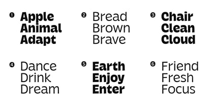 Krause Font Poster 8