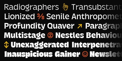 Krause Font Poster 7